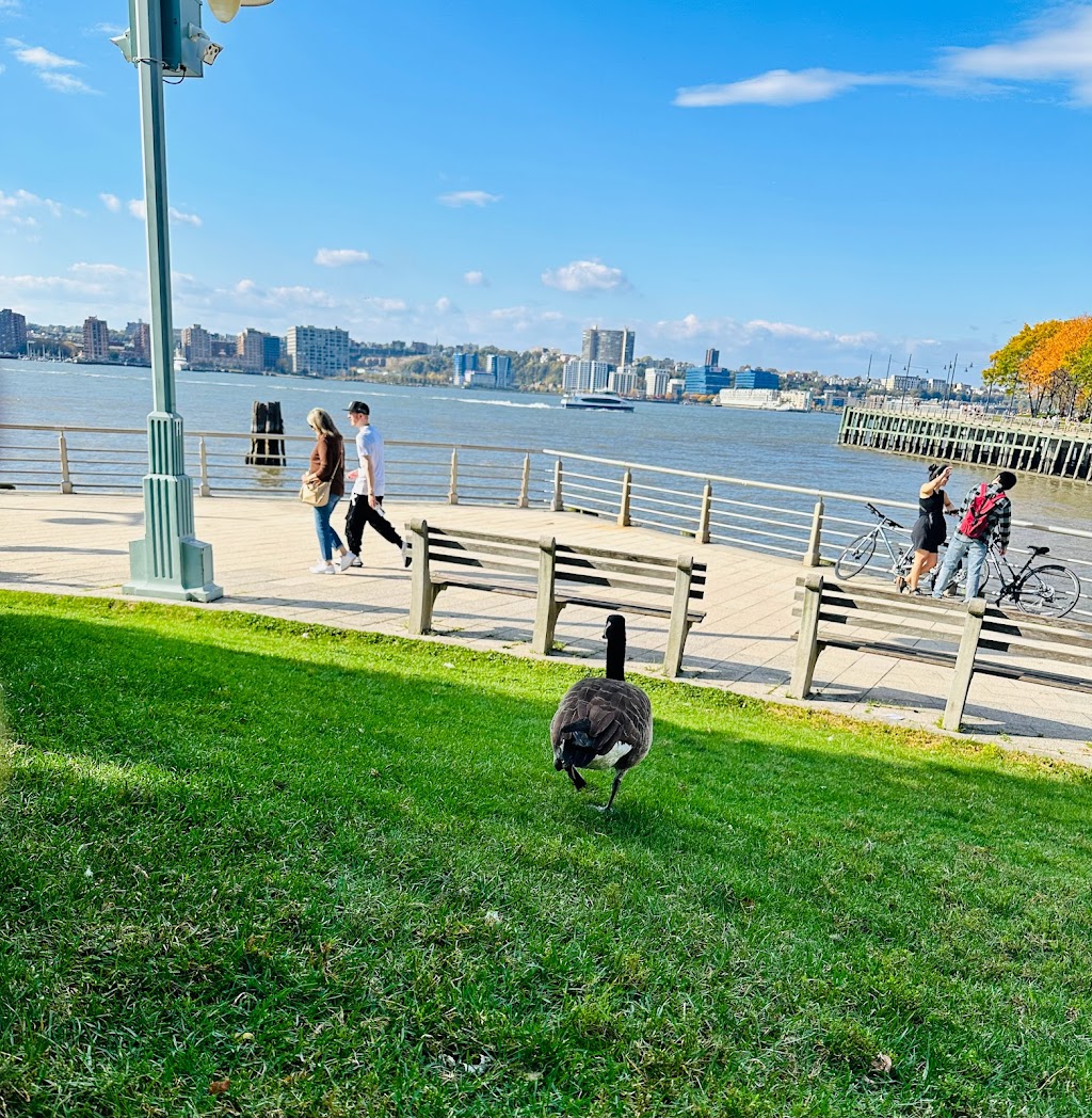 Hudson River Park | 61 Chelsea Piers, New York, NY 10011, USA | Phone: (212) 627-2020