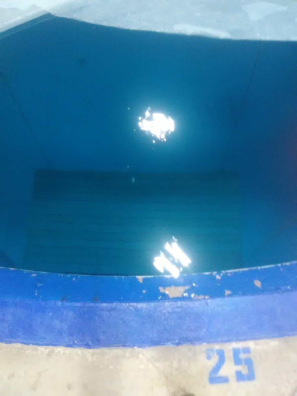 Deep Blue Divers Aquatic Center | 1313 Progress Rd, Fort Wayne, IN 46808, USA | Phone: (260) 490-3337