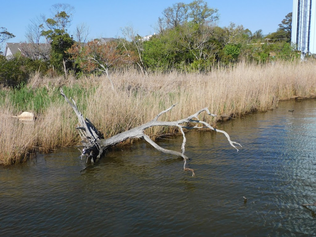 Duck Town Park Boardwalk | Duck Town Park Boardwalk, Duck, NC 27949, USA | Phone: (252) 255-1234