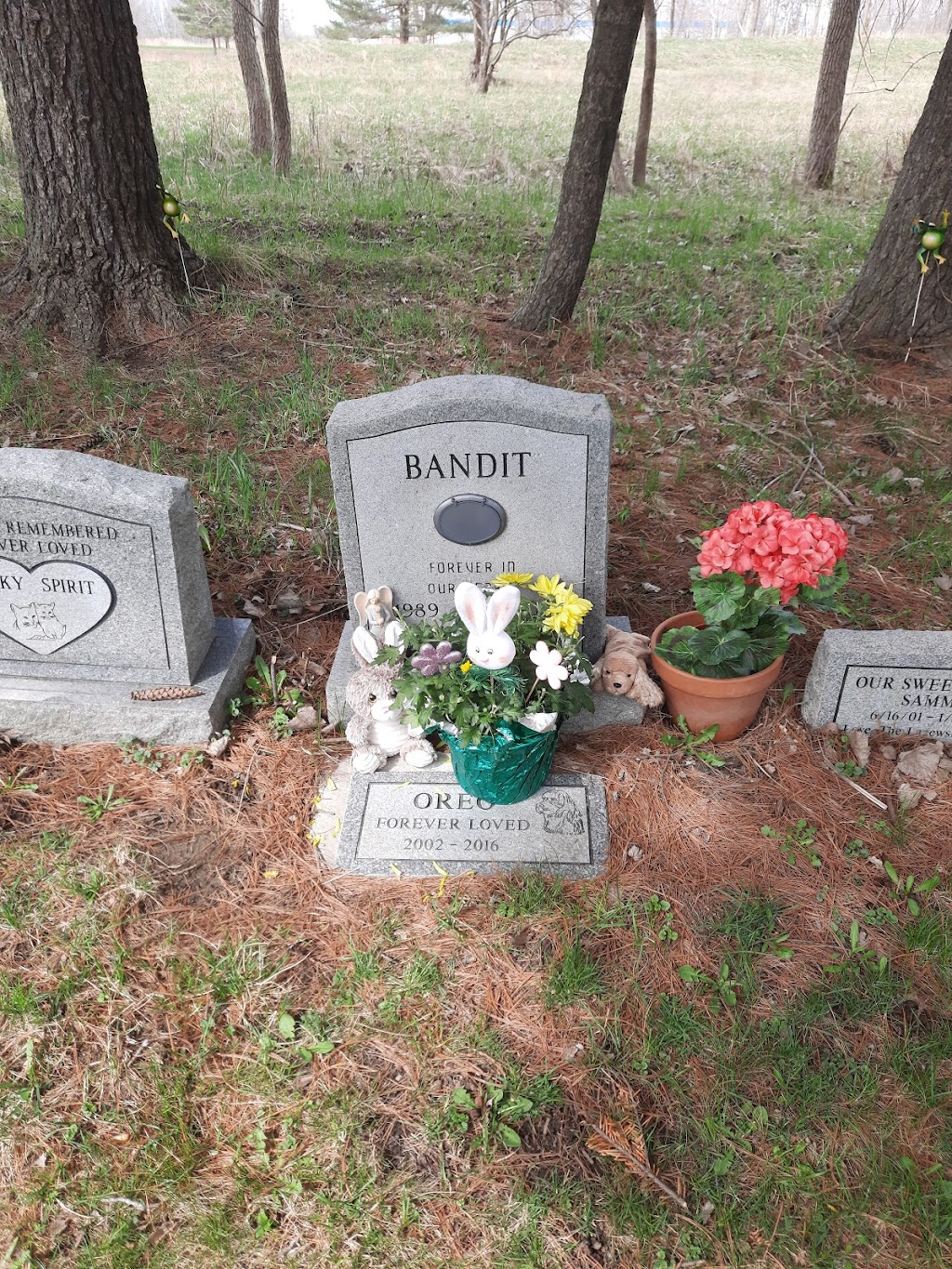 Final Gift - Pine Rest Pet Cemetery | 757 Seneca Creek Rd, Buffalo, NY 14224, USA | Phone: (716) 674-9470