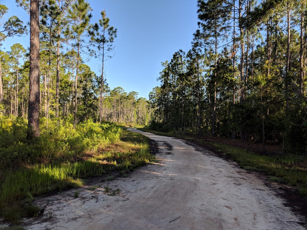 Twelve Mile Swamp Conservation Area | 440 International Golf Pkwy, St. Augustine, FL 32095 | Phone: (386) 329-4404