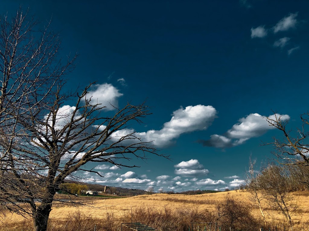 Prairie Ridge Conservation Park | 2406 Berkley Dr, Madison, WI 53719, USA | Phone: (608) 266-4711