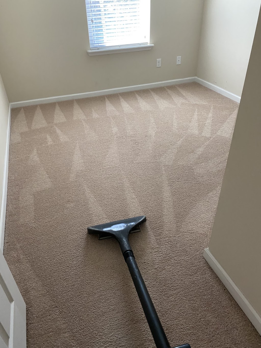 All Steam Carpet Cleaning | Honey Blossom Rd, Fruit Cove, FL 32259, USA | Phone: (904) 631-7080