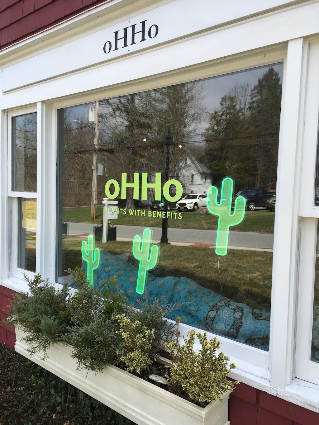 oHHo CBD | 13 Court Rd, Bedford, NY 10506, USA | Phone: (914) 764-1274