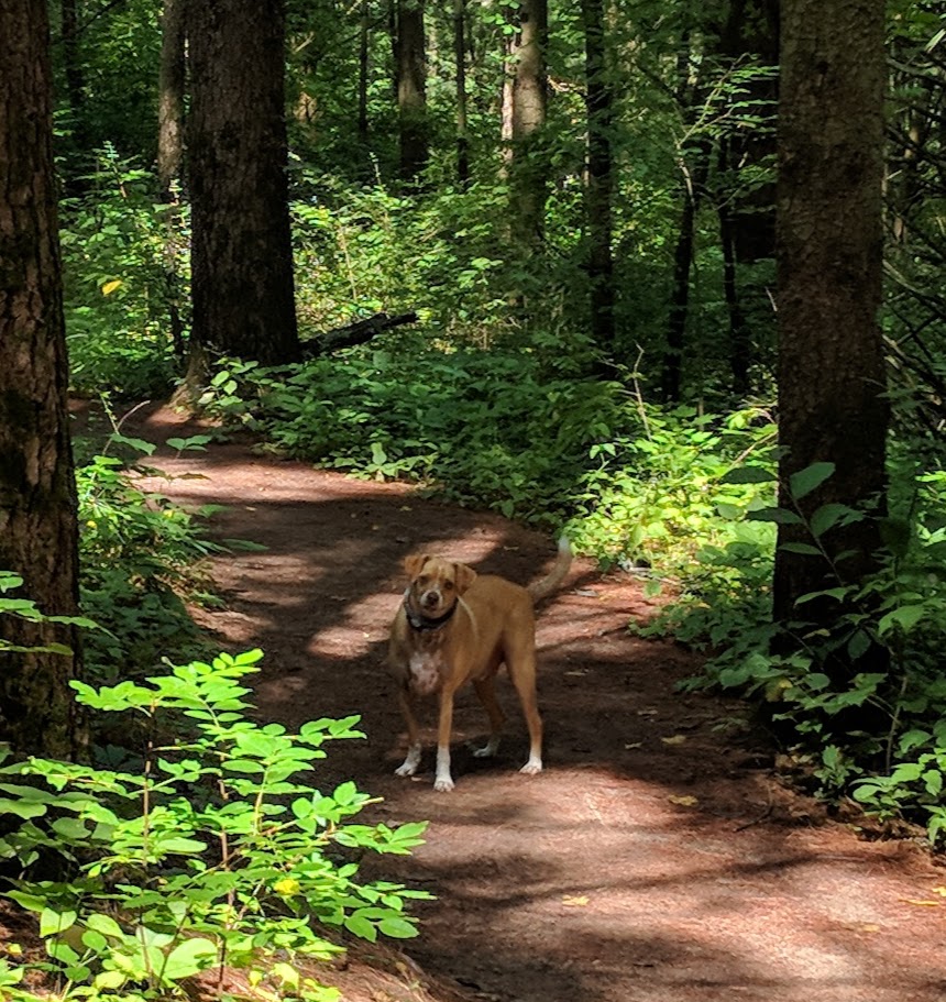 Gibraltar Rock County Park | Gibraltar Rock Rd, Lodi, WI 53555, USA | Phone: (888) 936-7463