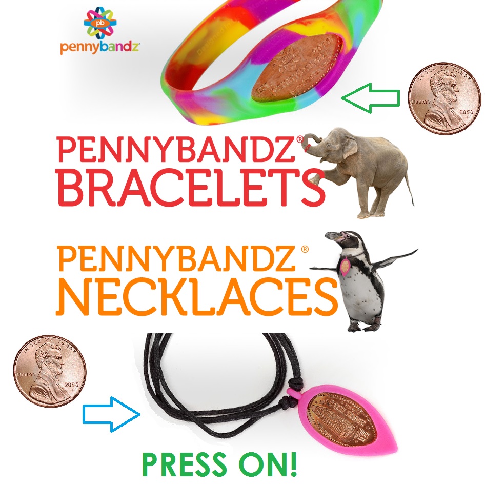 Pennybandz | 450 S Denton Tap Rd #2386, Coppell, TX 75019 | Phone: (888) 965-3346