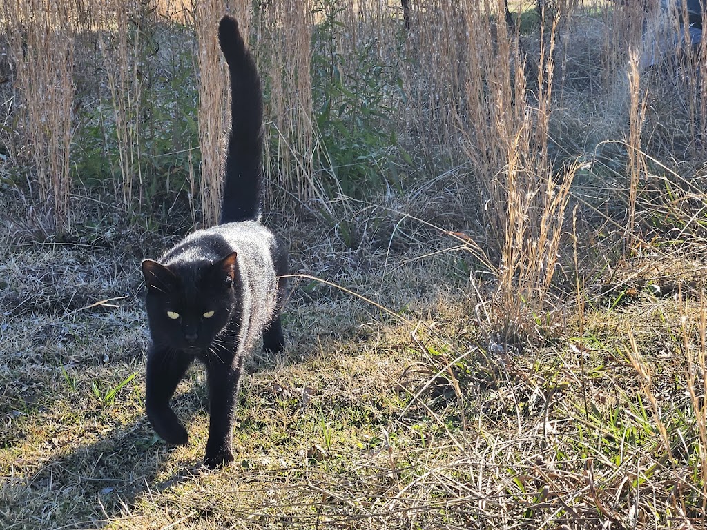 Hubler Veterinary Service | Warner, OK 74469, USA | Phone: (918) 463-3202