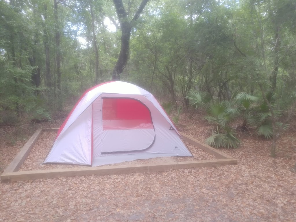 Jennings State Forest - Hammock Campground | 682 Wheeler Branch Rd, Middleburg, FL 32068, USA | Phone: (904) 406-6390
