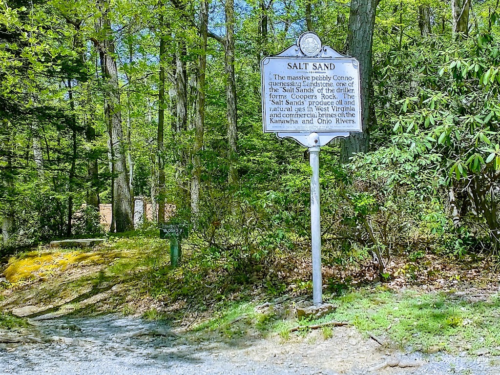 Coopers Rock State Forest | 61 County Line Dr, Bruceton Mills, WV 26525, USA | Phone: (304) 594-1561