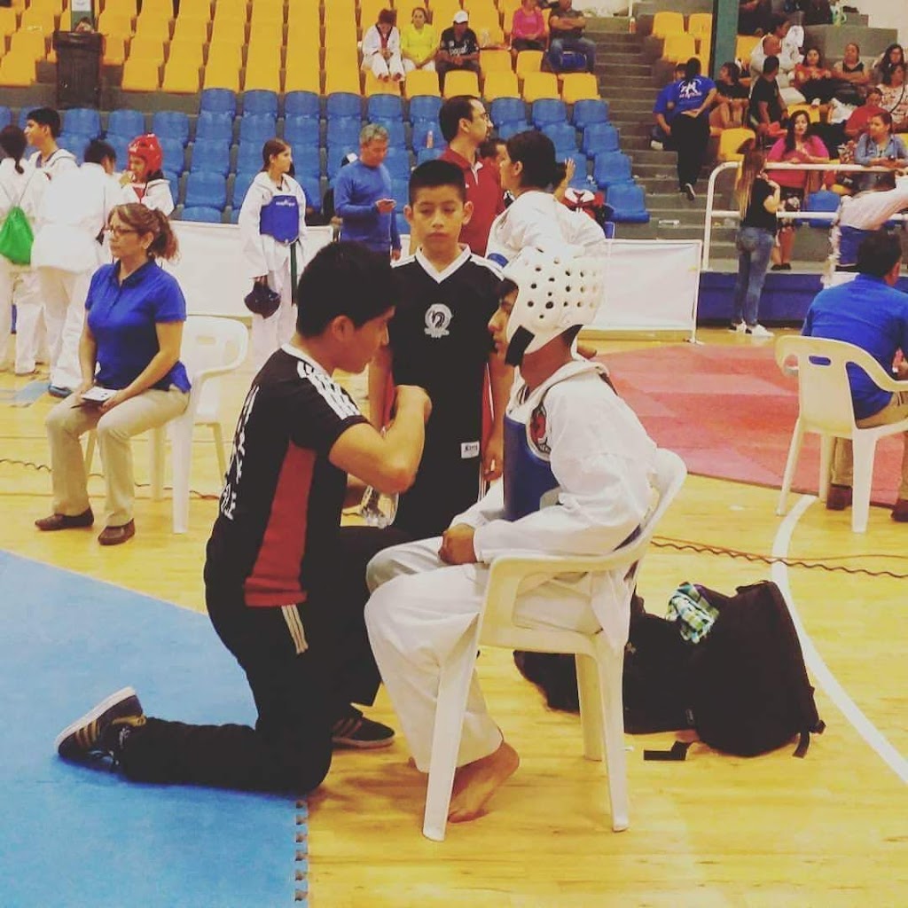 Dragon Rojo, TAEKWONDO (dojang morita) | Nogal 8605, El Encino, 22245 Tijuana, B.C., Mexico | Phone: 664 539 3565