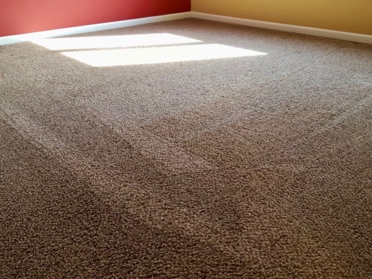 Alecs Carpet Cleaners | 9025 Stacy Rd, McKinney, TX 75070, USA | Phone: (469) 949-5235