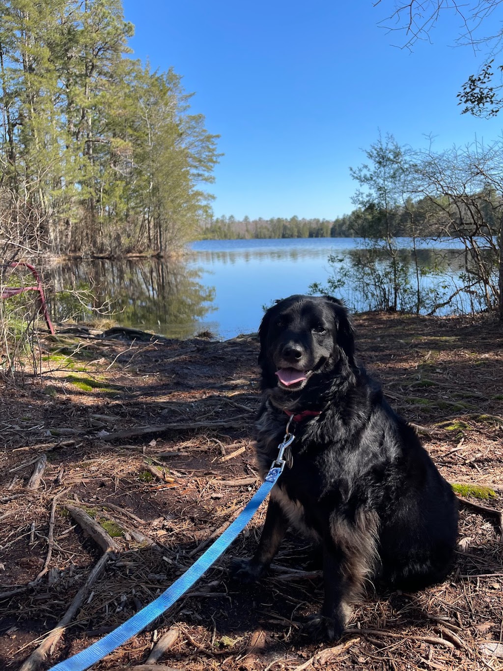 New Jersey Pinelands National Reserve | 853 Atsion Rd, Shamong, NJ 08088, USA | Phone: (609) 894-7300