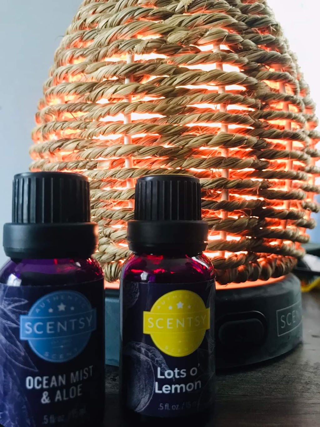 Tiffany Rausch - Independent Scentsy Consultant | 915 E North D St, Gas City, IN 46933, USA | Phone: (765) 667-1613