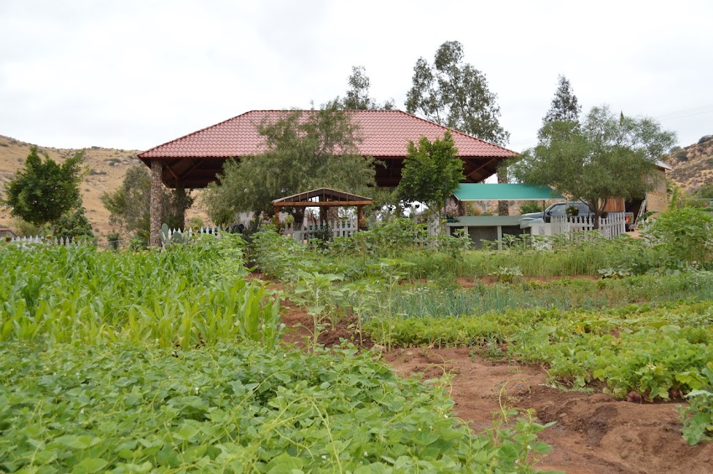 Rancho La Divina Misericordia | Unnamed Road, 21503 B.C., Mexico | Phone: 665 655 9325