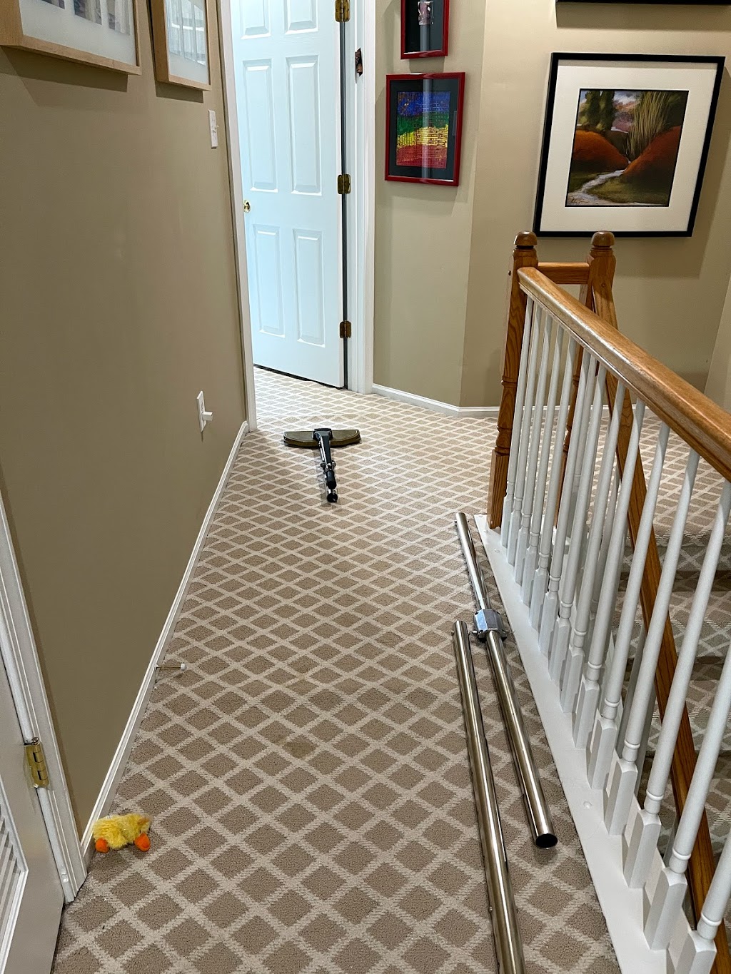 White Knight Carpet Cleaning | 18300 Streamside Dr, Gaithersburg, MD 20879, USA | Phone: (301) 972-2900