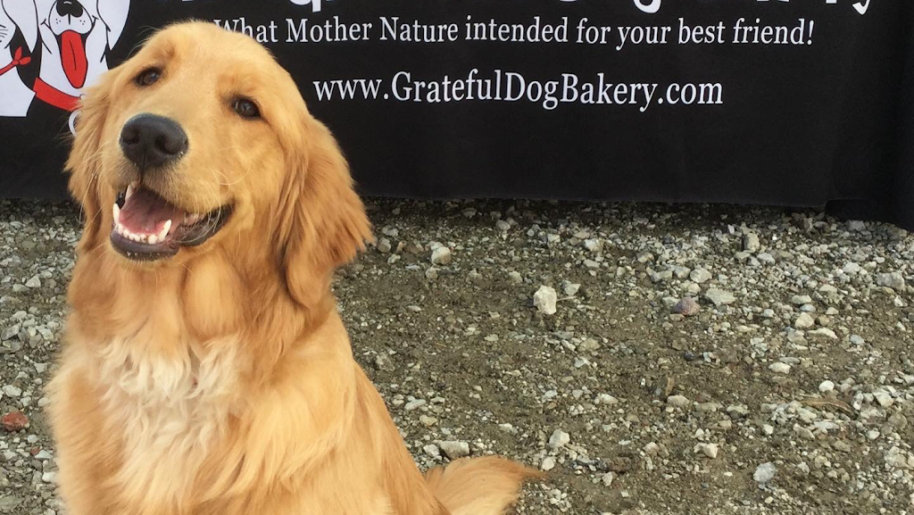 The Grateful Dog Bakery | 33101 Center Ridge Rd, North Ridgeville, OH 44039, USA | Phone: (440) 353-1990