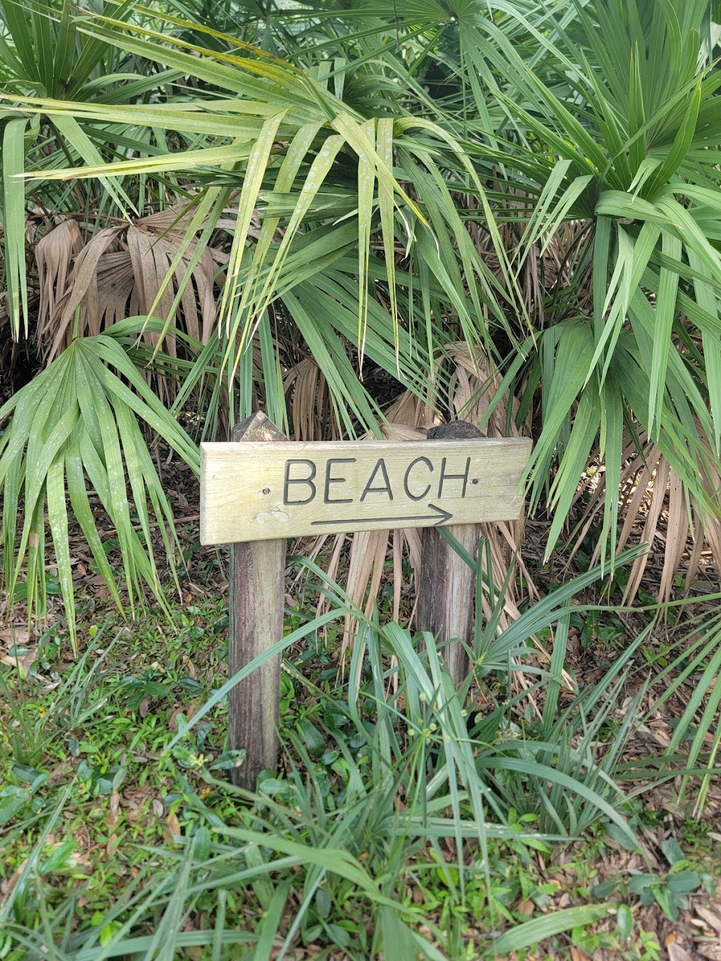 Sea Camp Ranger Station | Cumberland Island, St Marys, GA 31558, USA | Phone: (912) 882-4336