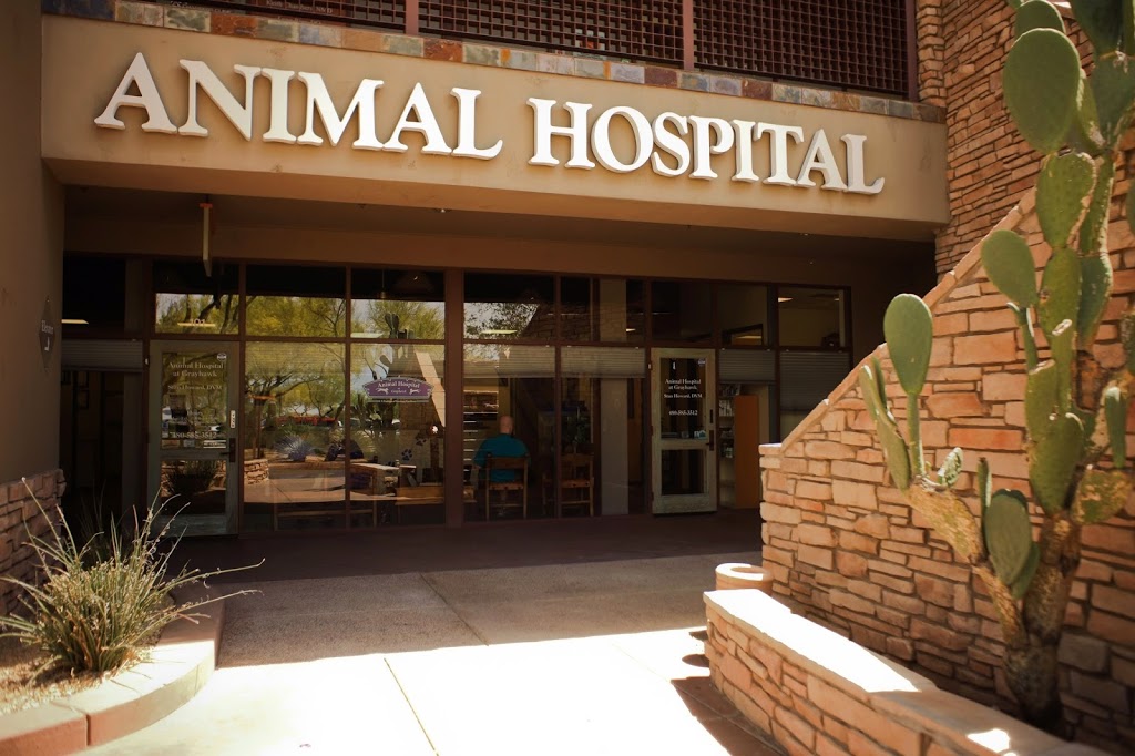 Animal Hospital at Grayhawk | 20801 N Scottsdale Rd, Scottsdale, AZ 85255, USA | Phone: (480) 585-3512