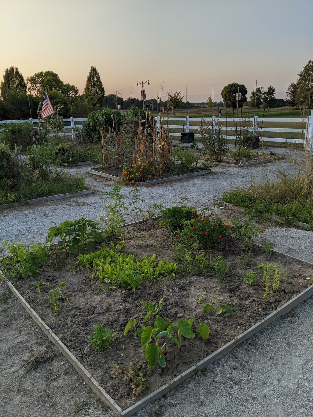 Chesterfield Community Garden | Chesterfield parkway and, Burkhardt Pl, Chesterfield, MO 63017 | Phone: (636) 812-9500