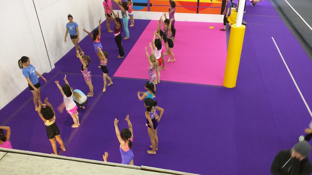 Bay Aerials Gymnastics | 4883 Davenport Pl, Fremont, CA 94538, USA | Phone: (510) 651-5870