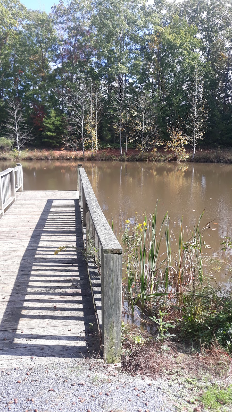 Clay Presnell Memorial Park | 5129 Seagrove Plank Rd, Asheboro, NC 27205, USA | Phone: (336) 873-7307