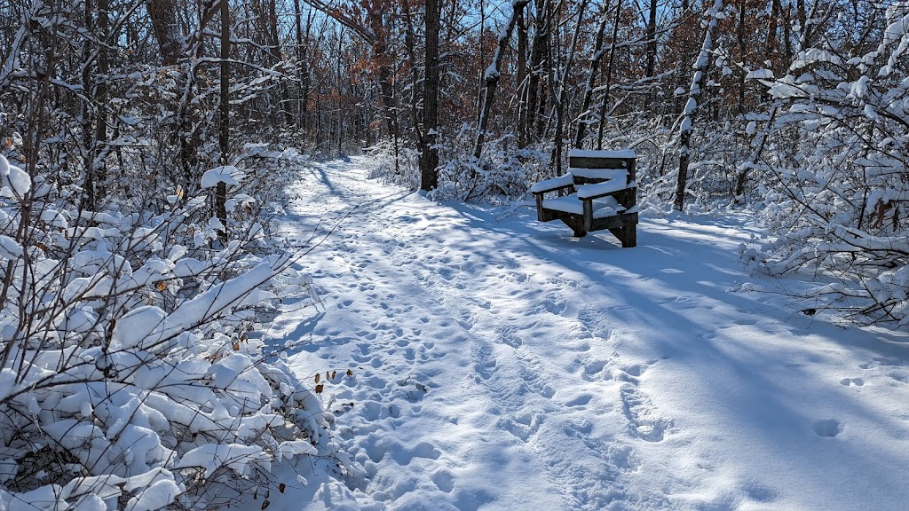 New Glarus Woods State Park | W5446 County Highway Nn, New Glarus, WI 53574, USA | Phone: (608) 527-2335