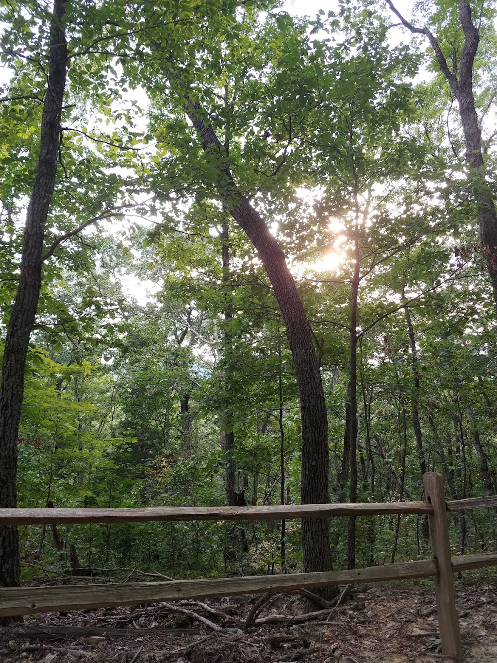 Berea Forest Trail | Berea, KY 40403, USA | Phone: (859) 986-3000