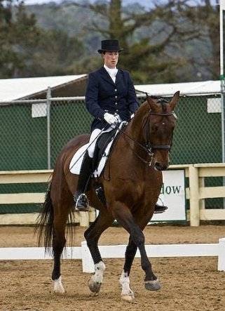 AP Dressage | 13113 200th St SE, Snohomish, WA 98296, USA | Phone: (360) 453-7196