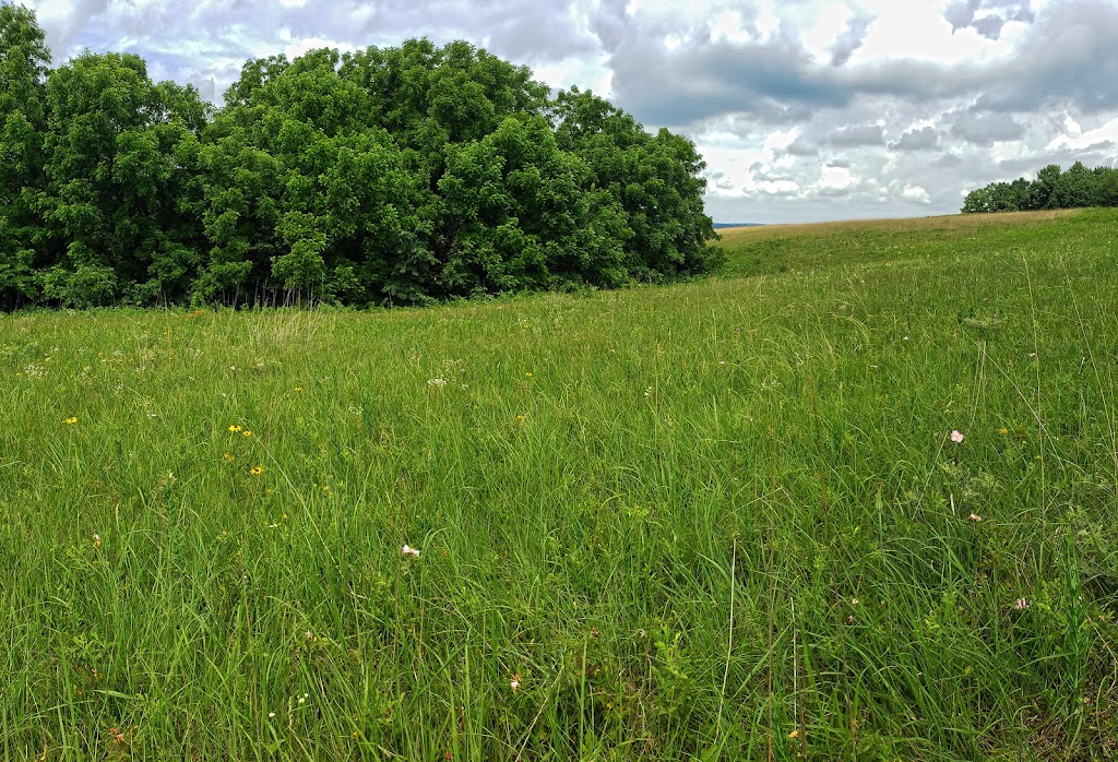 Muralt Bluff Prairie State Natural Area | Monticello, WI 53570 | Phone: (608) 266-0394