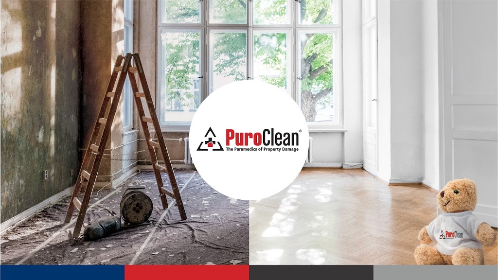 PuroClean Disaster First Response | 1361 Wald Rd Bldg 2 #17, New Braunfels, TX 78132 | Phone: (210) 858-8282