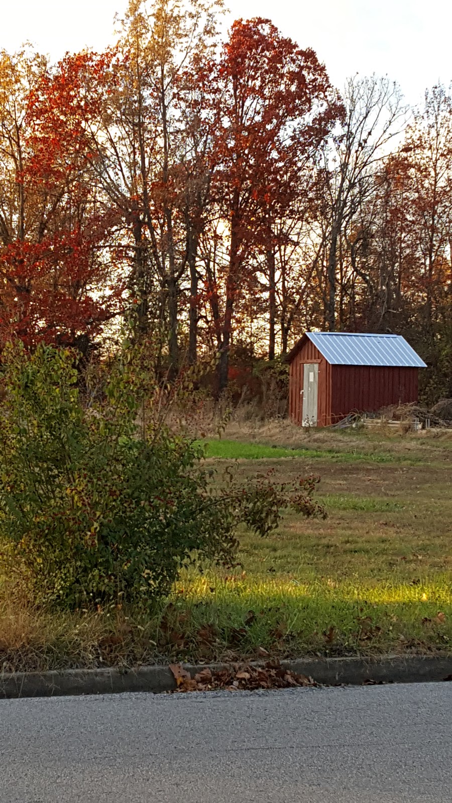 Eastridge Community Garden | 401 Estill St Y, Berea, KY 40403, USA | Phone: (859) 302-1463