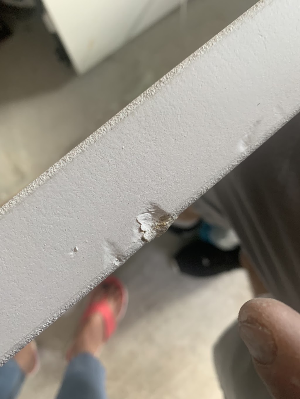 Rafaels Doors | 7311 N Florida Ave, Tampa, FL 33604, USA | Phone: (813) 731-4616