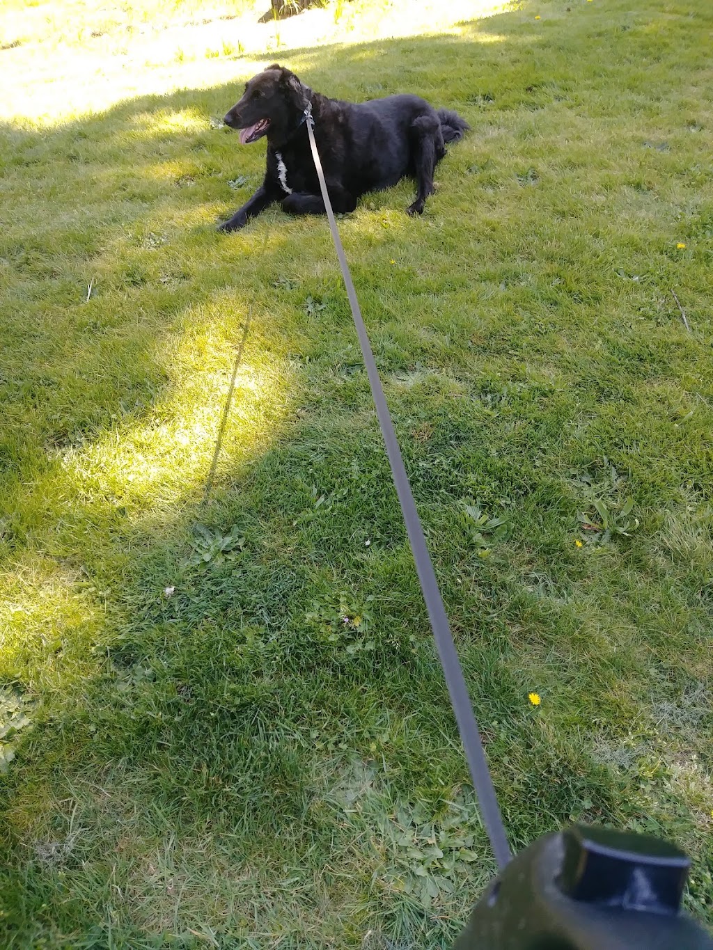 Orchards Highlands Neighborhood Park | 9310 NE 112th Ave, Vancouver, WA 98662, USA | Phone: (360) 397-2285