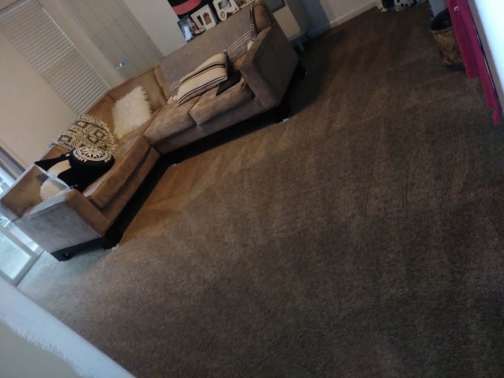 TnT Carpet Cleaning | 9946 Dillard Rd, Wilton, CA 95693, USA | Phone: (916) 969-0554