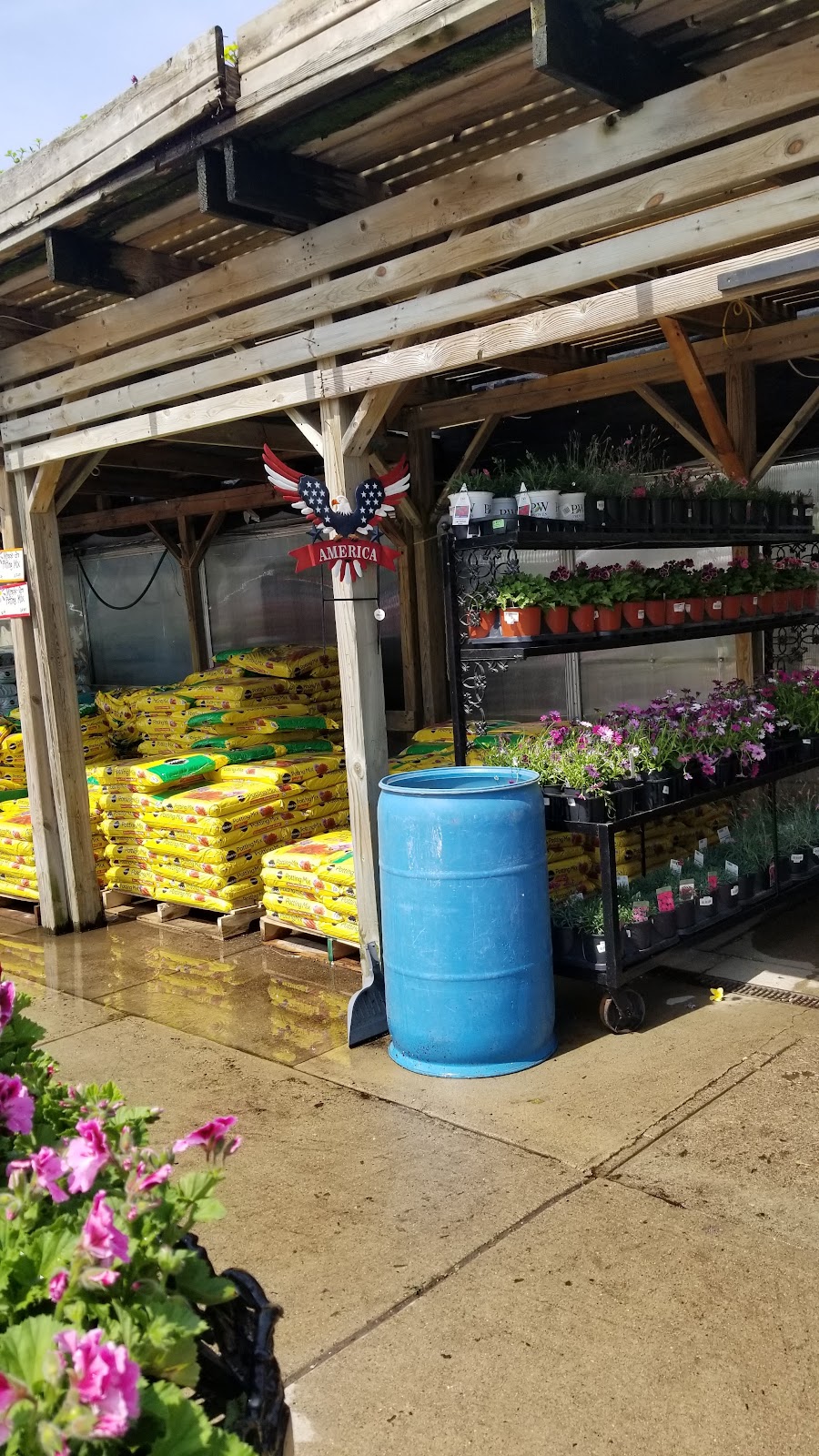 Ruhlig Farms & Gardens | 24508 Telegraph Rd, Brownstown Charter Twp, MI 48134, USA | Phone: (734) 782-9811