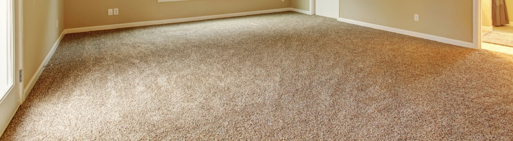A & Z Carpet Care | 20359 Acre, Orange, CA 92869, USA | Phone: (949) 954-5067