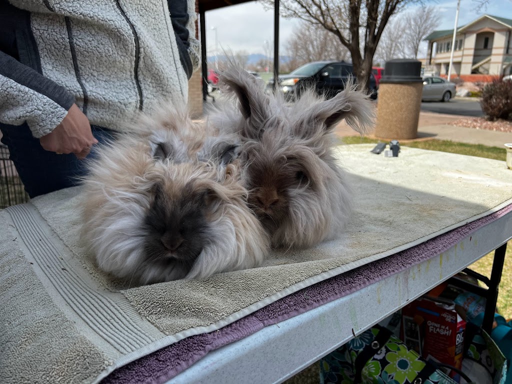 Maverick Fiber Arts | 2770 Dagny Way # 108, Lafayette, CO 80026, USA | Phone: (303) 665-5591