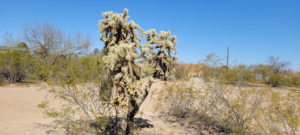 Parque Los Arroyos - Town of Sahuarita | 18225 S Avenida Arroyo Seco, Green Valley, AZ 85614, USA | Phone: (520) 445-7850