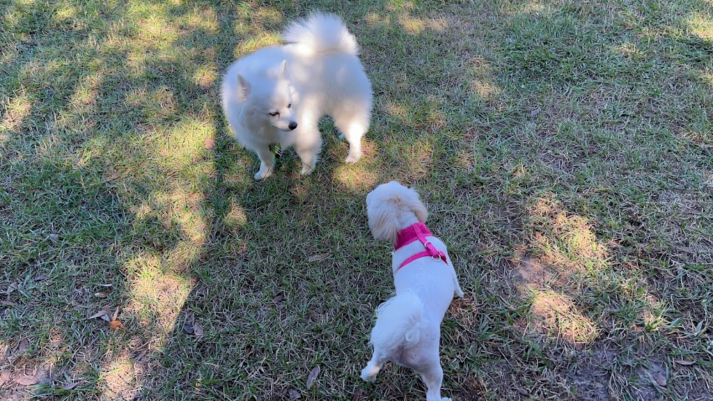 Logan Gate Dog Park | 7374 Monterey Blvd, Tampa, FL 33610, USA | Phone: (813) 744-5595