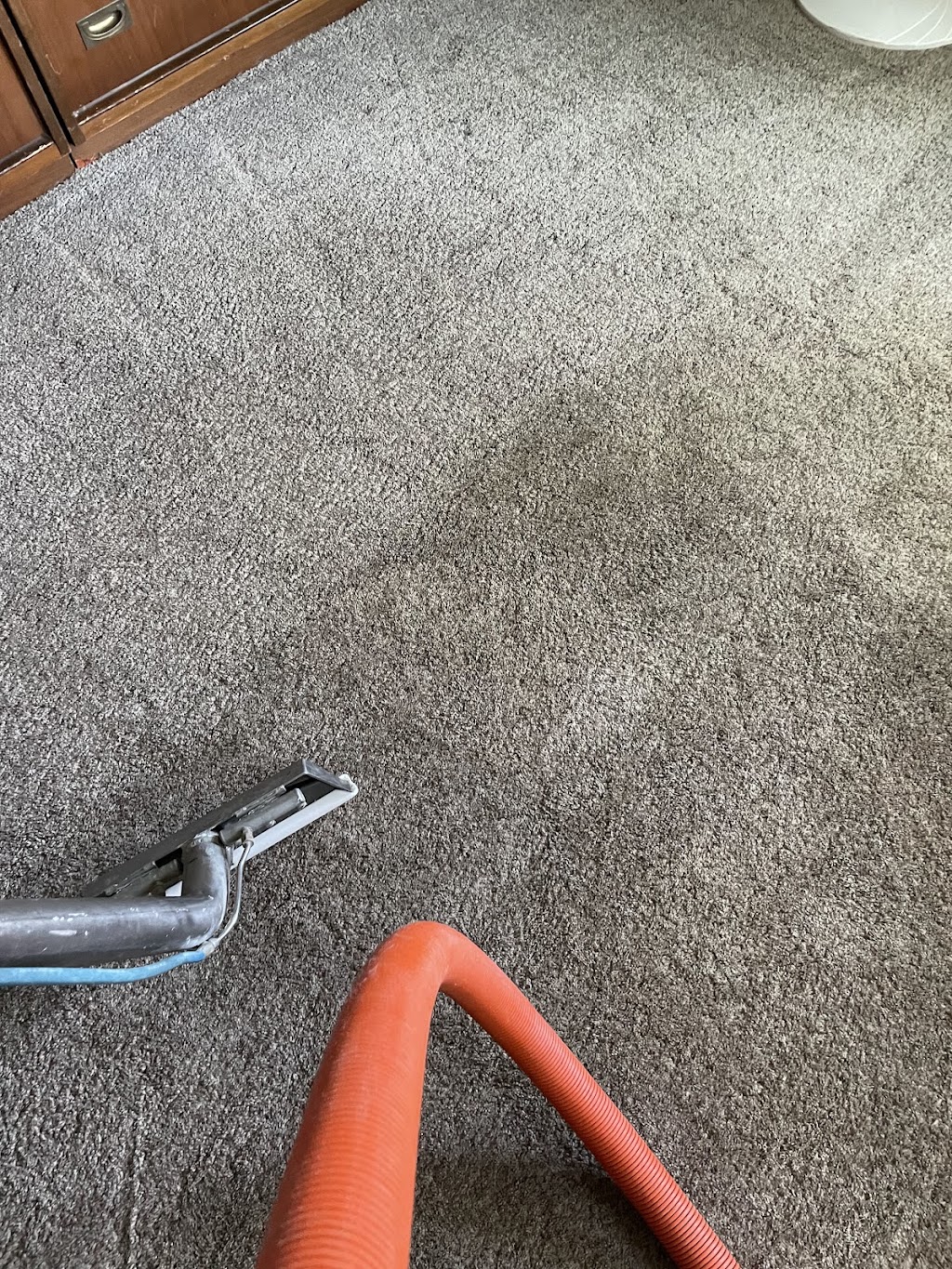 Piasecki Carpet and Upholstery Cleaning | Carter Rd, Carleton, MI 48117, USA | Phone: (313) 220-5538