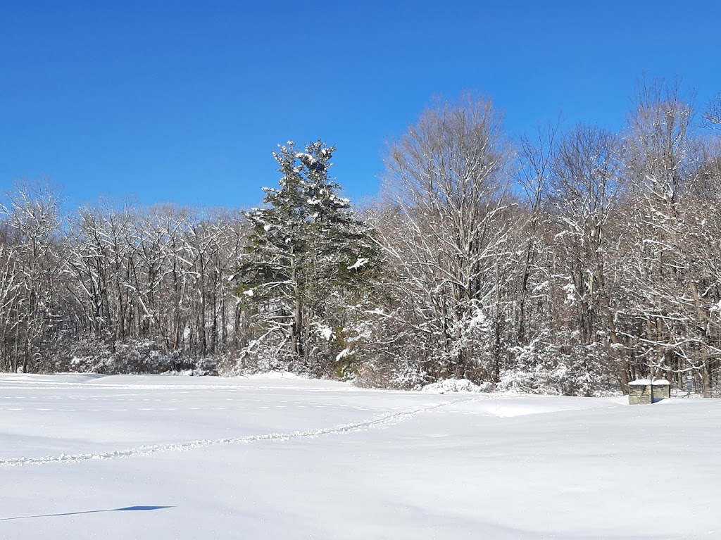 Thacher State Park | 830 Thacher Pk Rd, Voorheesville, NY 12186, USA | Phone: (518) 872-1237