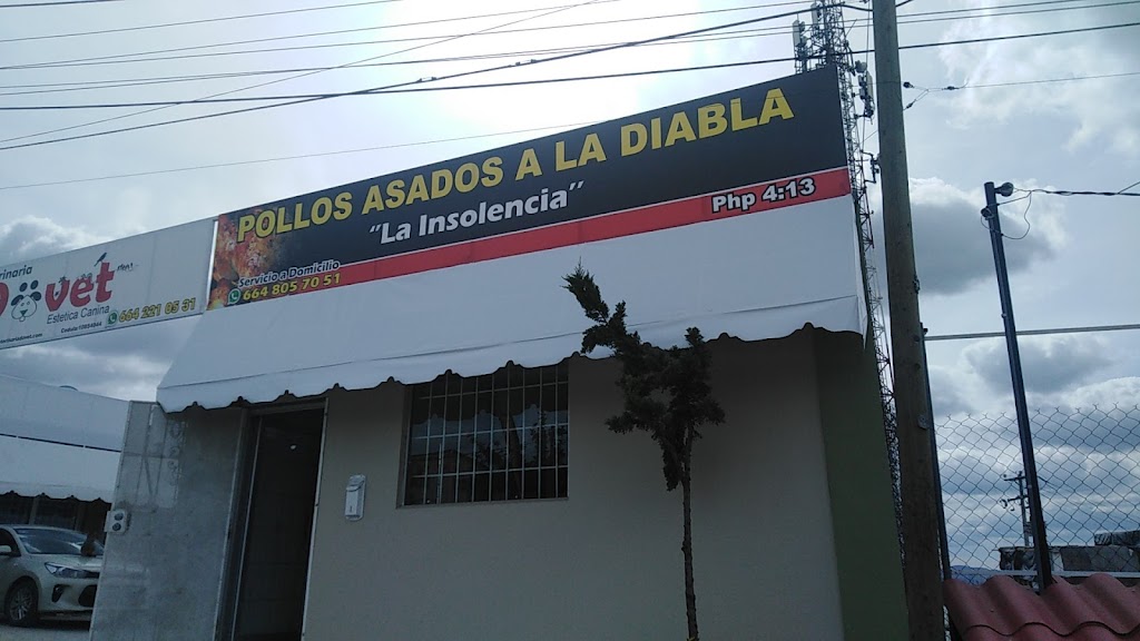 Pollos a la díabla la insolensia | Puerta del Sol, 22207 Tijuana, B.C., Mexico | Phone: 664 805 7051