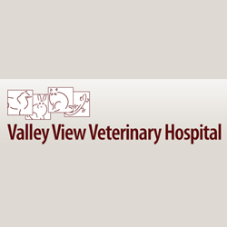 Valley View Veterinary Hospital | 821 US-8, St Croix Falls, WI 54024, USA | Phone: (715) 483-1551