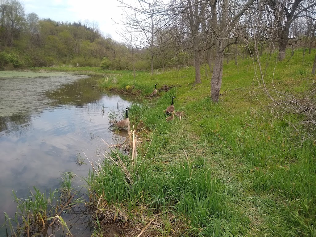 Cross Creek County Park Boat Launch | Avella, PA 15312 | Phone: (724) 258-2958