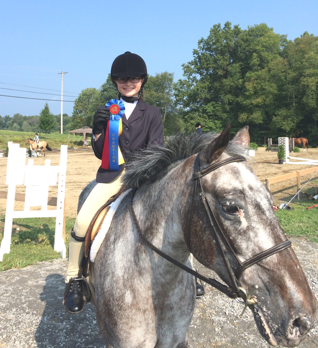 Spring Valley Stables Inc | 212 Warrendale Rd, Mars, PA 16046, USA | Phone: (724) 625-9003