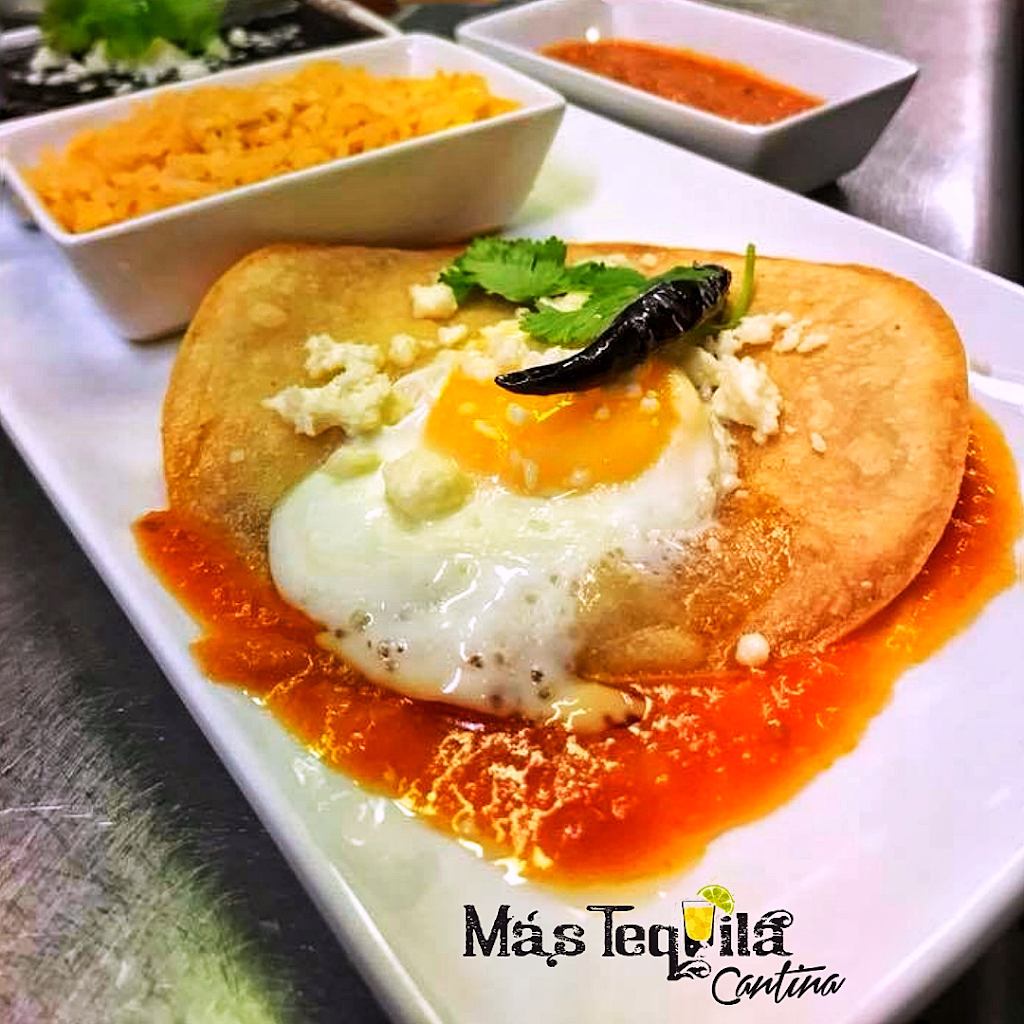 Más Tequila Cantina | 2101 Menard St, St. Louis, MO 63104, USA | Phone: (314) 877-1700