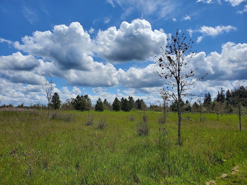 Graham Oaks Nature Park | 11825 SW Wilsonville Rd, Wilsonville, OR 97070, USA | Phone: (503) 665-4995