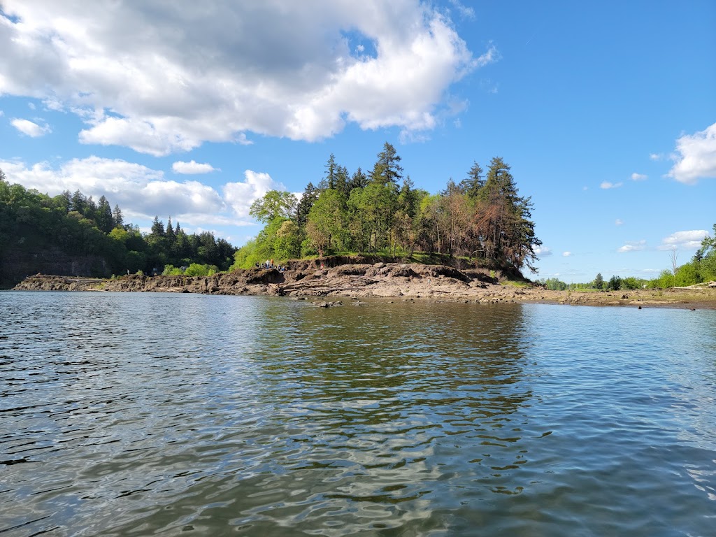 Spring Park Natural Area | 2001 SE Sparrow St, Milwaukie, OR 97222, USA | Phone: (503) 653-8100