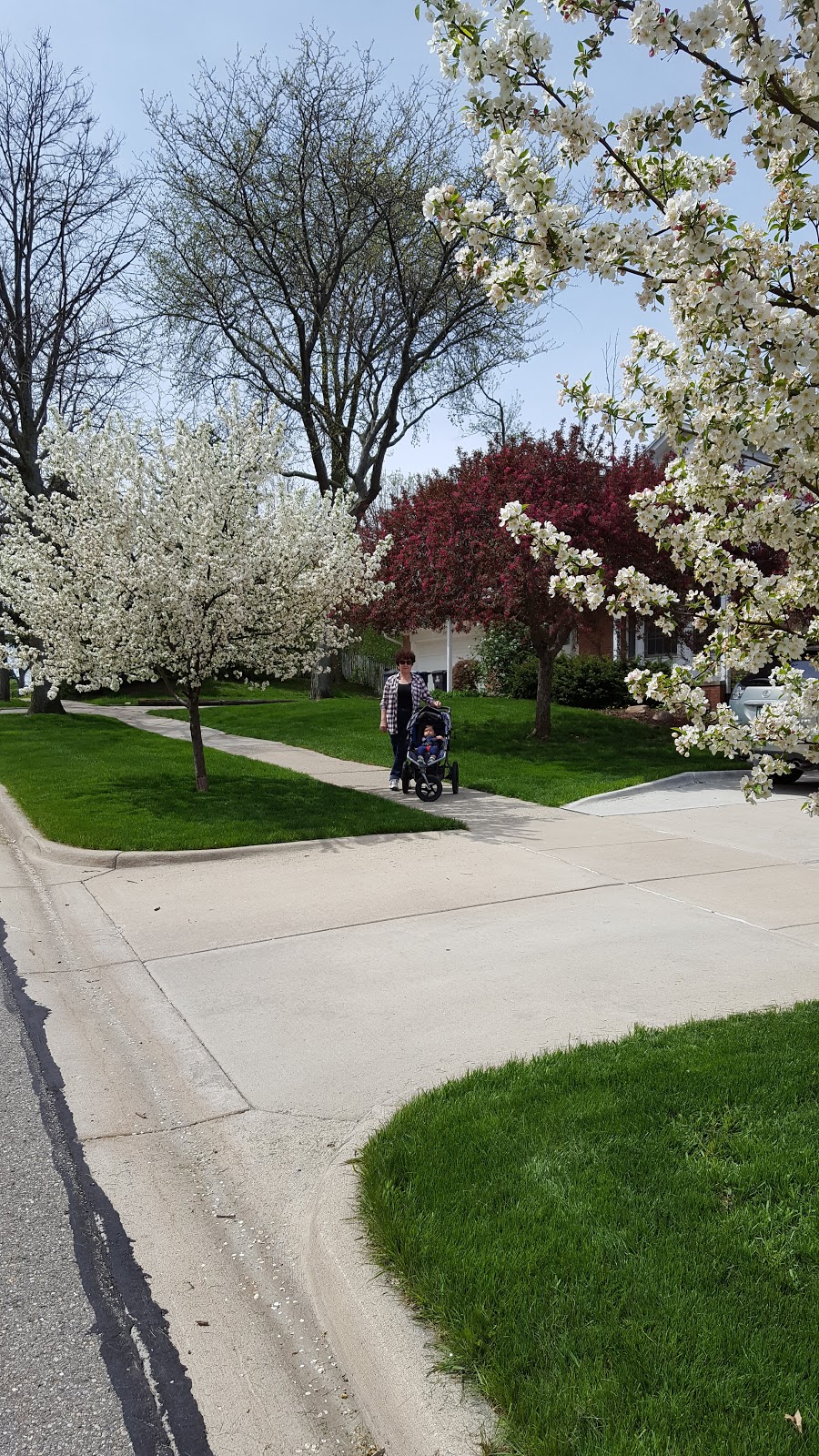 Meadowbrook Park | 2500 S 7th St, Ann Arbor, MI 48103, USA | Phone: (734) 794-6230 Meadowbrook Park | 2500 S 7th St, Ann Arbor, MI 48103, USA | Phone: (734) 794-6230