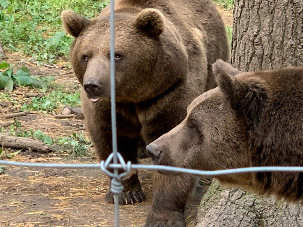 Shalom Wildlife Zoo | 1901 Shalom Dr, West Bend, WI 53090, USA | Phone: (262) 338-1310